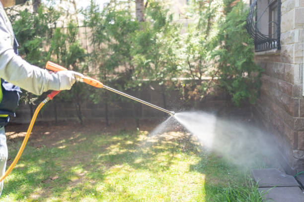 Best Best Pest Control Companies  in Justin, TX