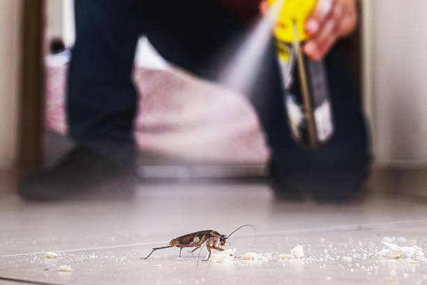 Pest Prevention Services in Justin, TX